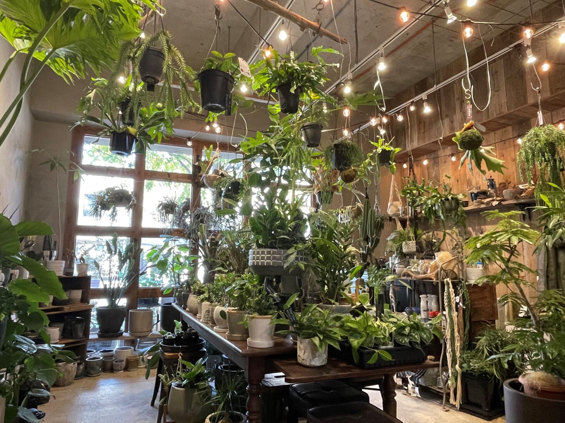 生田緑地そばの癒し空間 遊園不動産 The Gathering Green Plants Shop 川崎市多摩区のお引越し 不用品回収ならzengaku引越センター